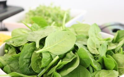 Nutritious Spinach