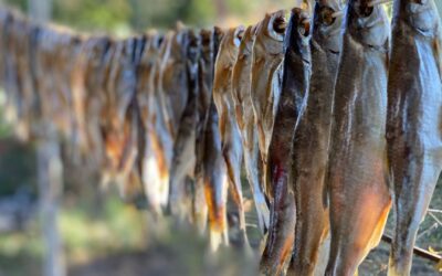 Dried Fish: Known as Shutki