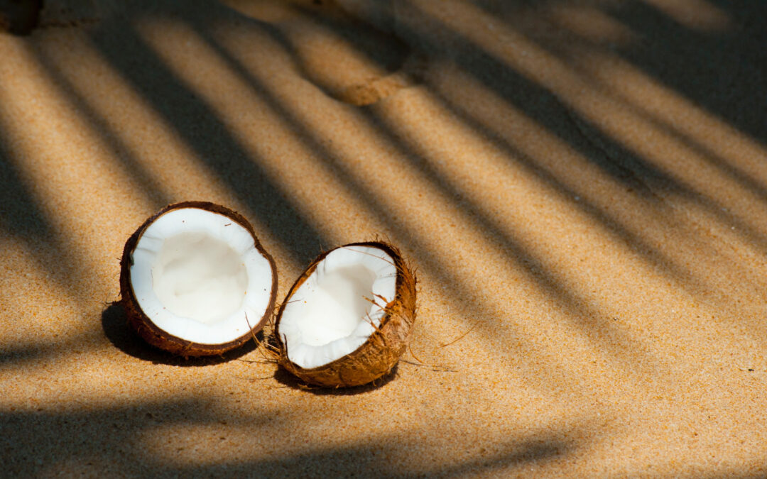 World Coconut Day